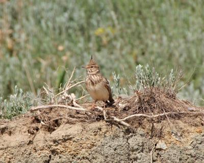 Прикрепленное изображение: zb29.jpg